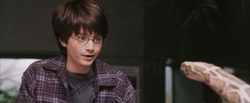 PF-Potterish_00584.jpg
