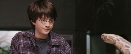 PF-Potterish_00585.jpg