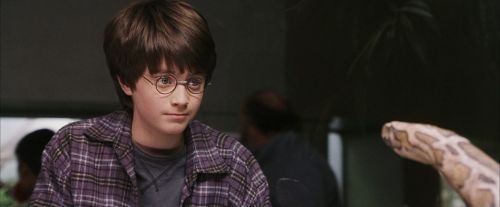 Click to view full size image
==============
PF-Potterish_00588.jpg PF-Potterish_00588.jpg