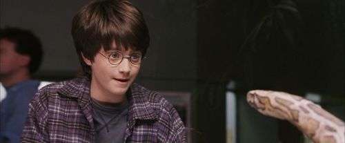 PF-Potterish_00589.jpg