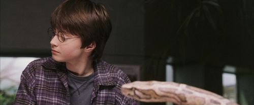 PF-Potterish_00592.jpg