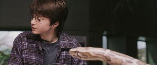 PF-Potterish_00595.jpg