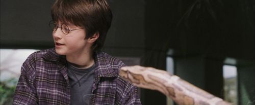 PF-Potterish_00596.jpg