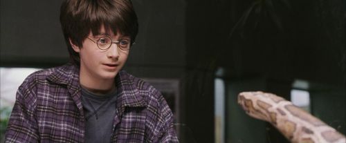 Click to view full size image
==============
PF-Potterish_00599.jpg PF-Potterish_00599.jpg