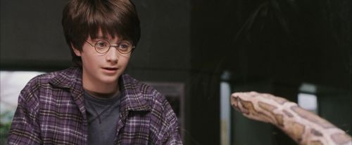 PF-Potterish_00600.jpg