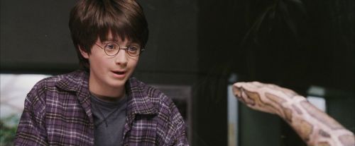 PF-Potterish_00601.jpg