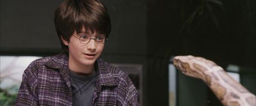 PF-Potterish_00602.jpg