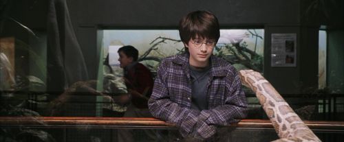 PF-Potterish_00603.jpg