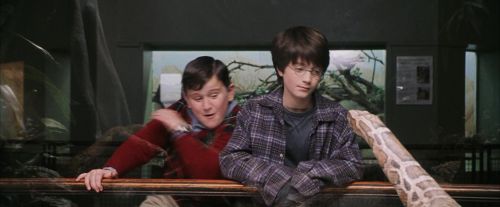 Click to view full size image
==============
PF-Potterish_00605.jpg PF-Potterish_00605.jpg