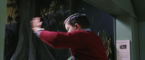 Click to view full size image
==============
PF-Potterish_00614.jpg PF-Potterish_00614.jpg