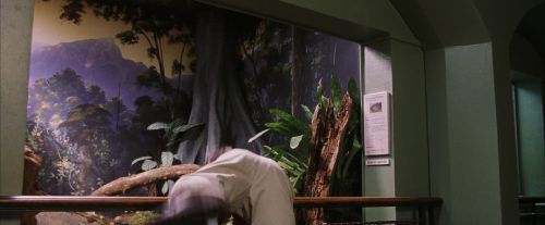 Click to view full size image
==============
PF-Potterish_00617.jpg PF-Potterish_00617.jpg