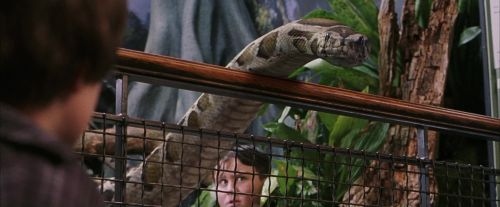 PF-Potterish_00630.jpg