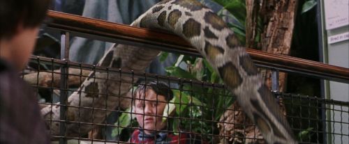 PF-Potterish_00633.jpg