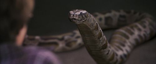 PF-Potterish_00643.jpg