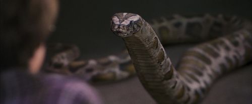 Click to view full size image
==============
PF-Potterish_00644.jpg PF-Potterish_00644.jpg
