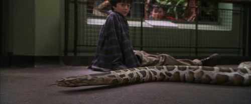 PF-Potterish_00652.jpg