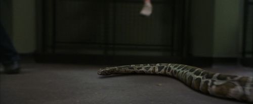 PF-Potterish_00655.jpg