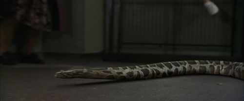 Click to view full size image
==============
PF-Potterish_00656.jpg PF-Potterish_00656.jpg