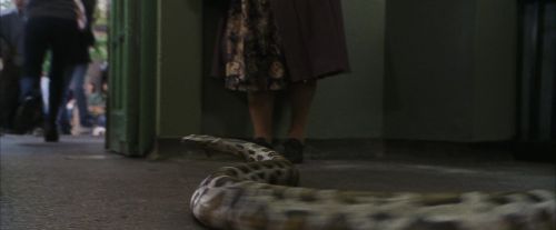 Click to view full size image
==============
PF-Potterish_00658.jpg PF-Potterish_00658.jpg