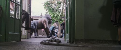 PF-Potterish_00661.jpg