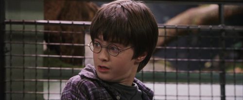 PF-Potterish_00664.jpg