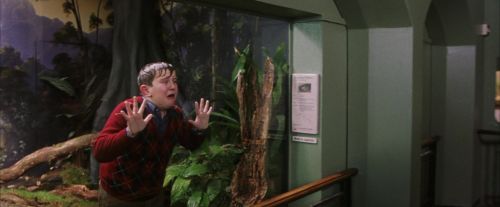 Click to view full size image
==============
PF-Potterish_00681.jpg PF-Potterish_00681.jpg