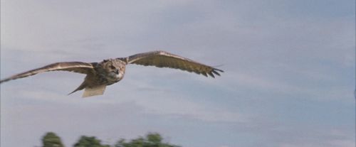 Click to view full size image
==============
PF-Potterish_00735.jpg PF-Potterish_00735.jpg