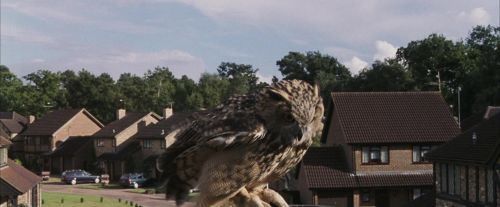 Click to view full size image
==============
PF-Potterish_00741.jpg PF-Potterish_00741.jpg