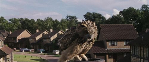PF-Potterish_00742.jpg