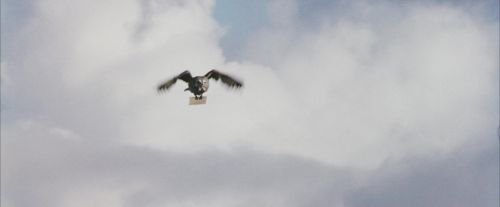 PF-Potterish_00813.jpg