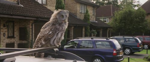Click to view full size image
==============
PF-Potterish_00859.jpg PF-Potterish_00859.jpg