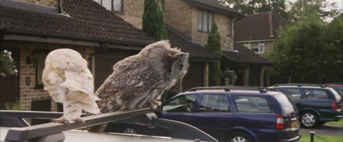 PF-Potterish_00861.jpg