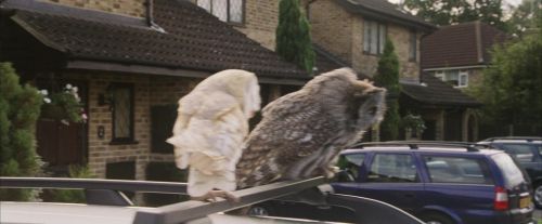 PF-Potterish_00862.jpg