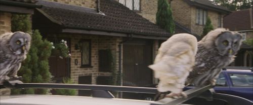 Click to view full size image
==============
PF-Potterish_00863.jpg PF-Potterish_00863.jpg