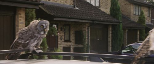 PF-Potterish_00864.jpg