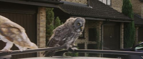 Click to view full size image
==============
PF-Potterish_00865.jpg PF-Potterish_00865.jpg