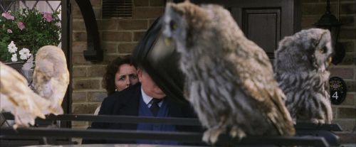 Click to view full size image
==============
PF-Potterish_00874.jpg PF-Potterish_00874.jpg