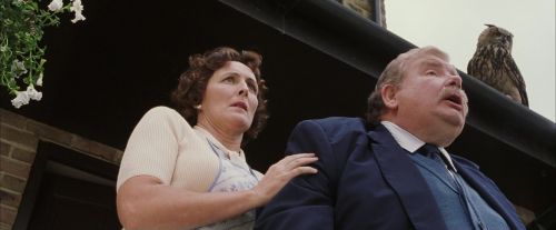 Click to view full size image
==============
PF-Potterish_00875.jpg PF-Potterish_00875.jpg