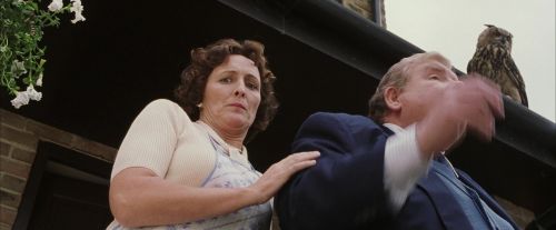 Click to view full size image
==============
PF-Potterish_00876.jpg PF-Potterish_00876.jpg