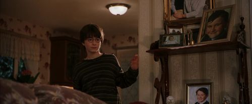 PF-Potterish_00890.jpg