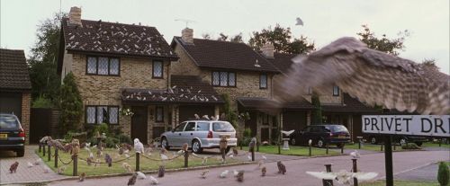 Click to view full size image
==============
PF-Potterish_00956.jpg PF-Potterish_00956.jpg