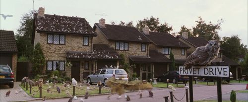 PF-Potterish_00958.jpg