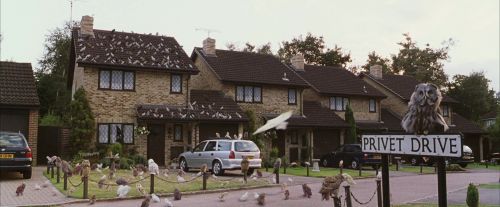 PF-Potterish_00962.jpg