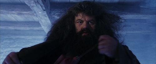 PF-Potterish_01142.jpg