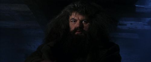 PF-Potterish_01143.jpg
