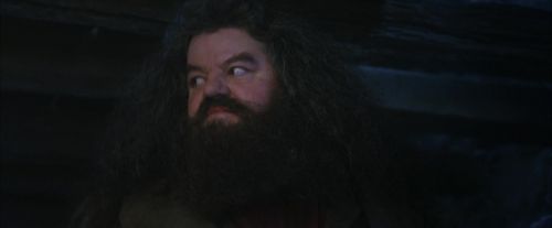 PF-Potterish_01162.jpg