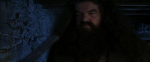 PF-Potterish_01167.jpg