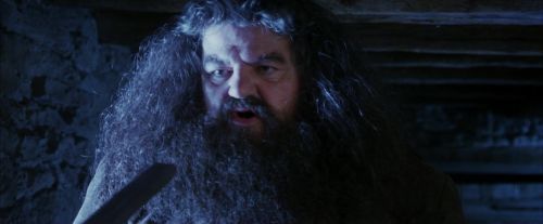 Click to view full size image
==============
PF-Potterish_01168.jpg PF-Potterish_01168.jpg