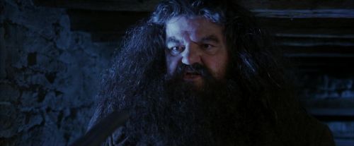 PF-Potterish_01169.jpg