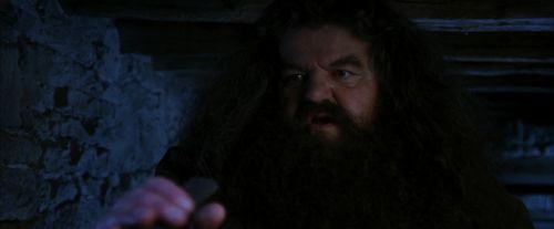 Click to view full size image
==============
PF-Potterish_01170.jpg PF-Potterish_01170.jpg